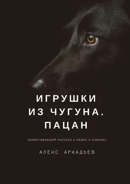 Алекс Аркадьев Игрушки из чугуна. Пацан. Захватывающий рассказ о людях и собаках