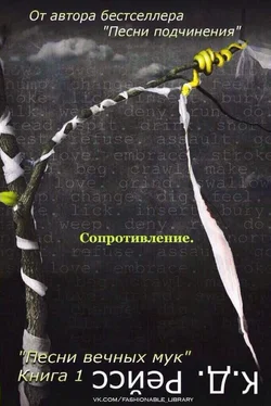 К. Рейсс Сопротивление обложка книги