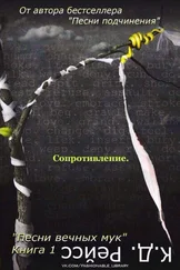 К. Рейсс - Сопротивление