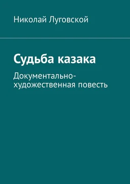 Николай Луговской Судьба казака. Документально-художественная повесть обложка книги