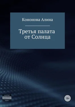 Алина Кононова Третья палата от Солнца обложка книги