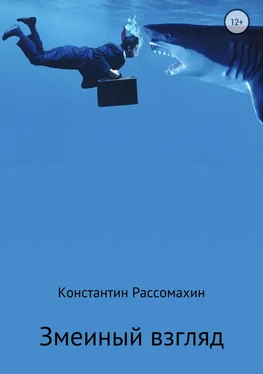 Константин Рассомахин Змеиный взгляд обложка книги
