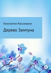 Константин Рассомахин - Дерево Зампуна
