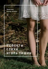 Игорь Тишин - Дефекты. Стихи