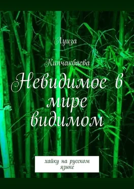 Луиза Кипчакбаева Невидимое в мире видимом. Хайку на русском языке обложка книги