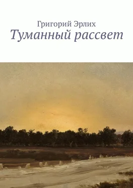 Григорий Эрлих Туманный рассвет обложка книги