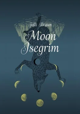 Tolli Braun Moon Isegrim обложка книги