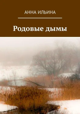 Анна Ильина Родовые дымы. Книга стихов обложка книги