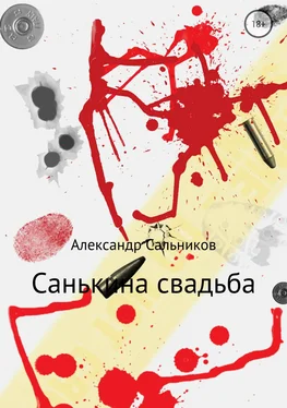 Александр Сальников Санькина свадьба. Поэма обложка книги