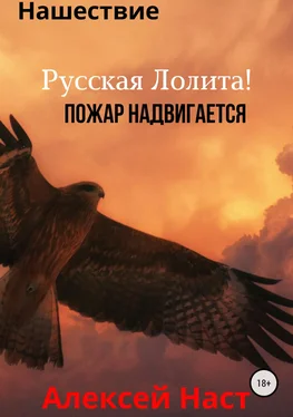 Алексей Наст Русская Лолита! Пожар надвигается обложка книги