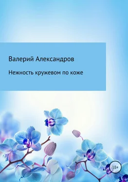 Валерий Александров Нежность кружевом по коже обложка книги