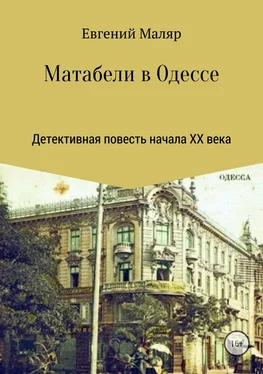 Евгений Маляр Матабели в Одессе обложка книги