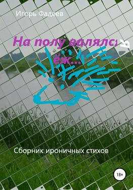 Игорь Фадеев На полу валялся ёж… обложка книги