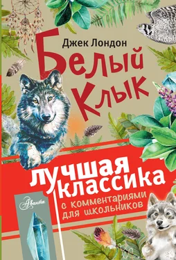 Джек Лондон Белый клык (сборник). С комментариями для школьников обложка книги