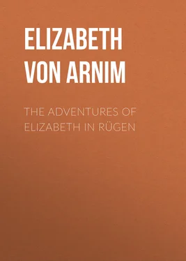 Elizabeth von Arnim The Adventures of Elizabeth in Rügen обложка книги
