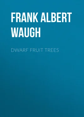Frank Albert Waugh Dwarf Fruit Trees обложка книги