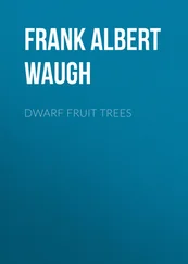 Frank Albert Waugh - Dwarf Fruit Trees
