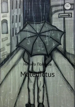 Никита Поляков Maledictus обложка книги