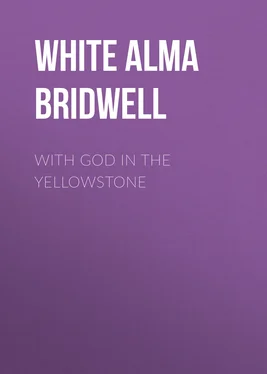 Alma White With God in the Yellowstone обложка книги