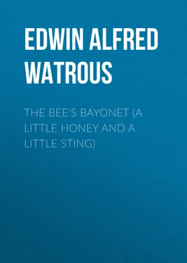 Edwin Alfred Watrous The Bee's Bayonet (a Little Honey and a Little Sting) обложка книги