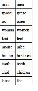 77Proper nouns when made plural generally follow the same rule as common - фото 10