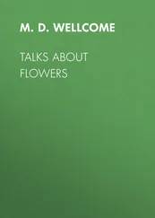 M. D. Wellcome - Talks About Flowers