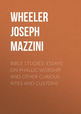 Joseph Wheeler Bible Studies: Essays on Phallic Worship and Other Curious Rites and Customs обложка книги