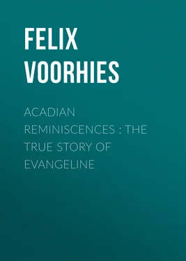 Felix Voorhies Acadian Reminiscences : The True Story of Evangeline обложка книги