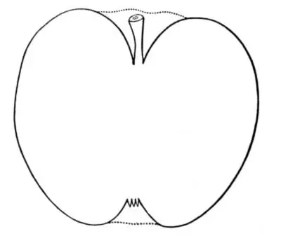 There is not a better dessert apple known It retains its exceedingly pleasant - фото 18