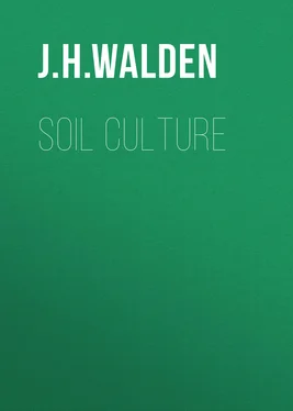 J. Walden Soil Culture обложка книги
