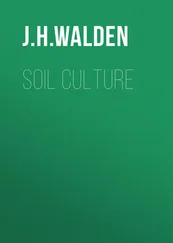 J. Walden - Soil Culture
