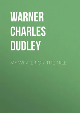Charles Warner My Winter on the Nile обложка книги