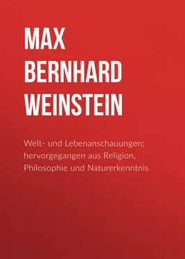 Max Bernhard Weinstein Welt- und Lebenanschauungen; hervorgegangen aus Religion, Philosophie und Naturerkenntnis обложка книги