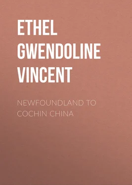 Ethel Vincent Newfoundland to Cochin China обложка книги