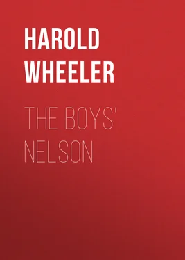 Harold Wheeler The Boys' Nelson обложка книги