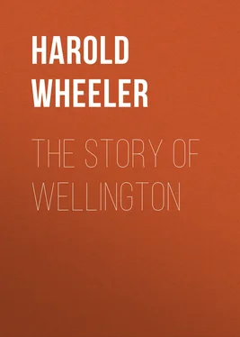 Harold Wheeler The Story of Wellington обложка книги