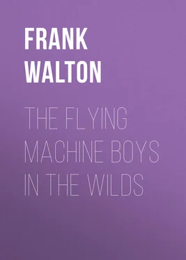 Frank Walton The Flying Machine Boys in the Wilds обложка книги