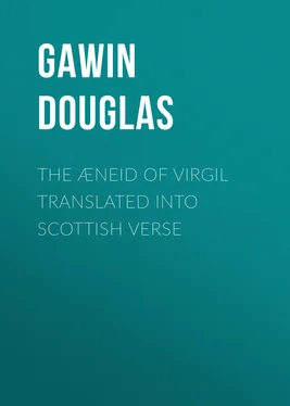 Gawin Douglas The Æneid of Virgil Translated Into Scottish Verse обложка книги