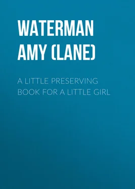 Amy Waterman A Little Preserving Book for a Little Girl обложка книги