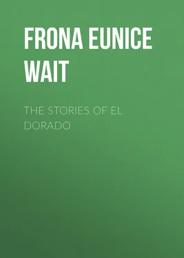 Frona Wait The Stories of El Dorado обложка книги