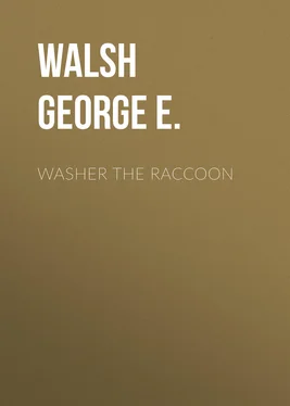 George Walsh Washer the Raccoon обложка книги