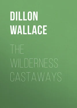Dillon Wallace The Wilderness Castaways обложка книги
