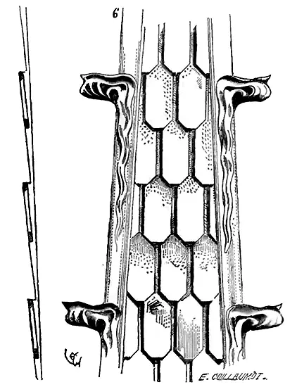 Au XIVe siècle les écailles se rapprochent davantage de la forme des bardeaux - фото 79
