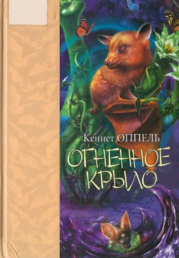 Кеннет Оппель Огненное крыло обложка книги