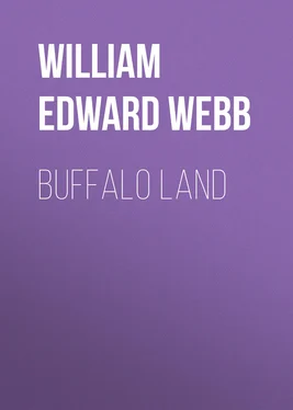 William Edward Webb Buffalo Land обложка книги