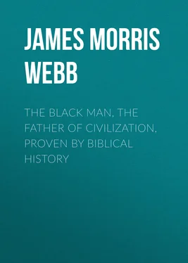 James Morris Webb The Black Man, the Father of Civilization, Proven by Biblical History обложка книги