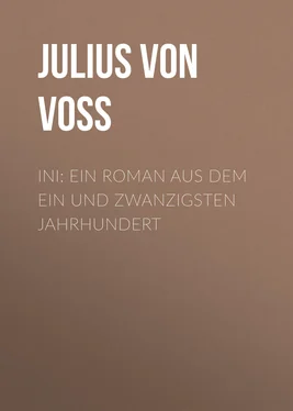 Julius Voss Ini: Ein Roman aus dem ein und zwanzigsten Jahrhundert обложка книги