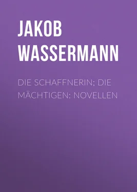Jakob Wassermann Die Schaffnerin; Die Mächtigen: Novellen