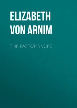 Elizabeth von Arnim The Pastor's Wife обложка книги