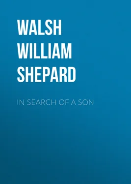 William Walsh In Search of a Son обложка книги